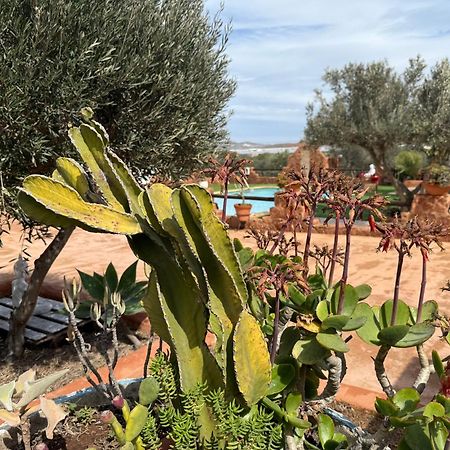 Olivares Rural Los Albaricoques Eksteriør bilde