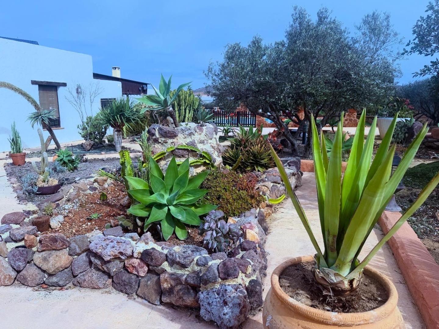 Olivares Rural Los Albaricoques Eksteriør bilde