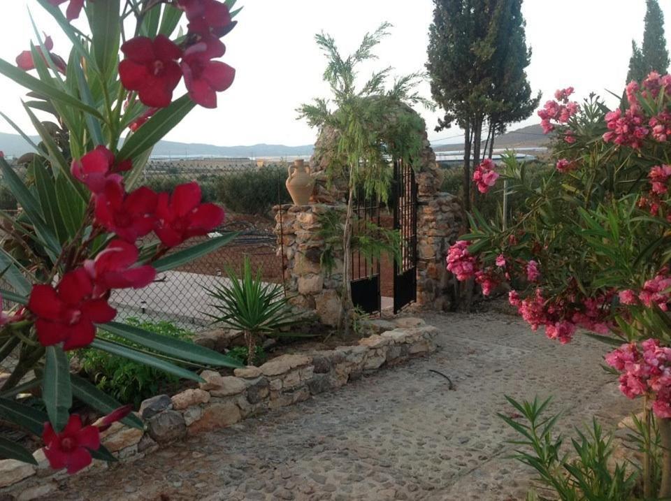 Olivares Rural Los Albaricoques Eksteriør bilde