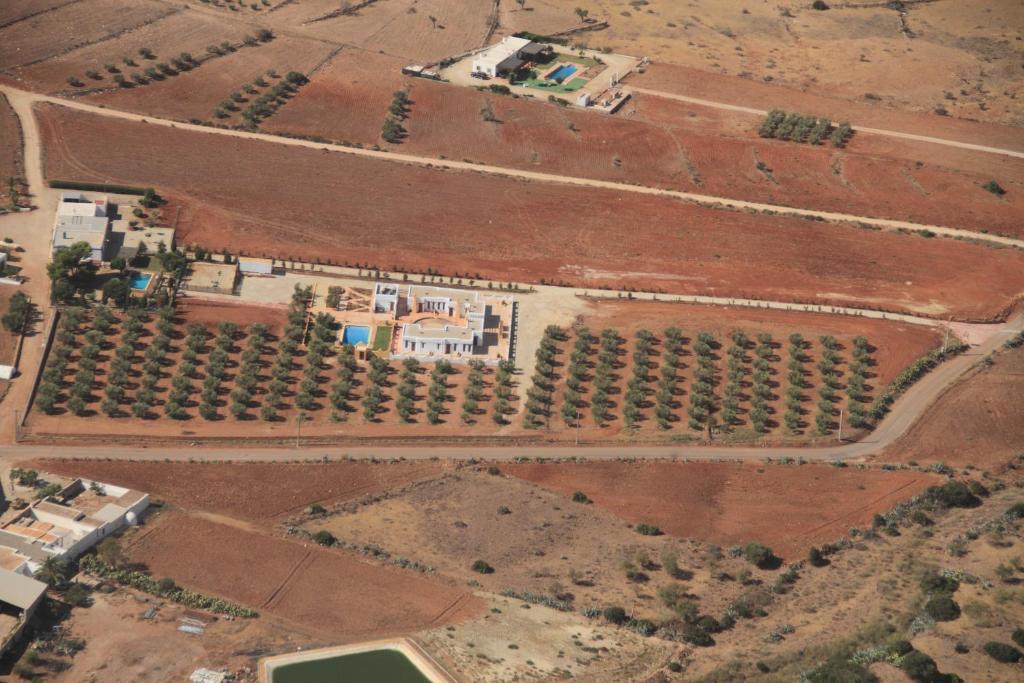 Olivares Rural Los Albaricoques Eksteriør bilde