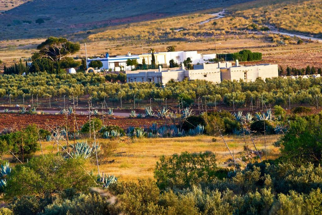 Olivares Rural Los Albaricoques Eksteriør bilde