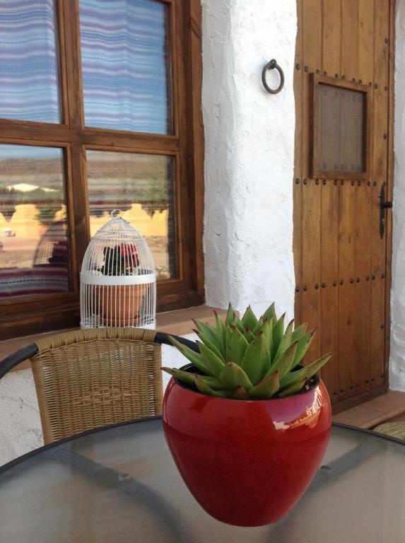 Olivares Rural Los Albaricoques Eksteriør bilde